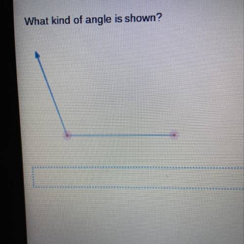 What kind of angle is shown?