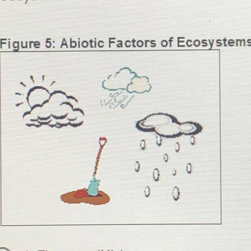 Figure 5 below shows four abiotic factors of an ecosystem. Choose the

statement that identifies a