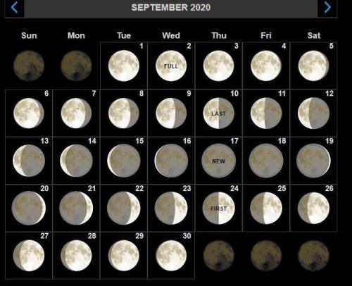 Based on this lunar calendar, when is a neap tide likely to occur?

September 10th and 24th
Septem