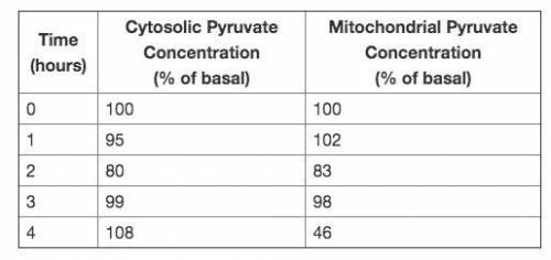 Use the Pyruvate Concentration Table to answer the question.

The researcher adds a chemical to th