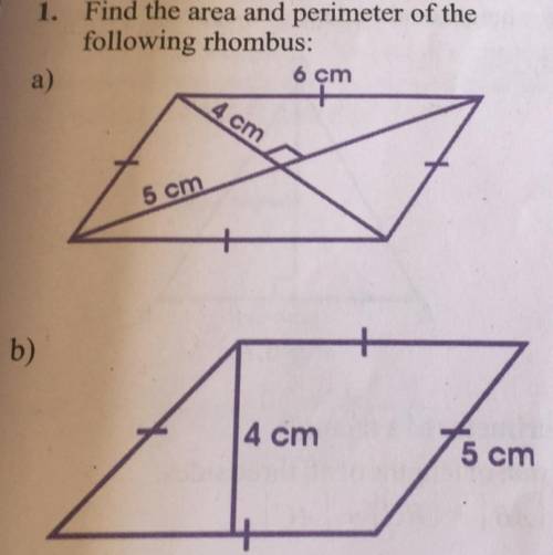 Help me find the area and perimeter of the rhombus