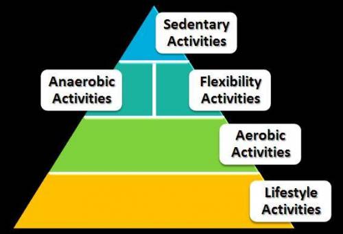 Where would the following activity BEST fit on the physical activity pyramid?
Gardening