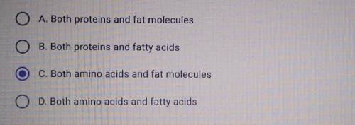 Which of the following need to be broken down into smaller molecules before they get to the cells o