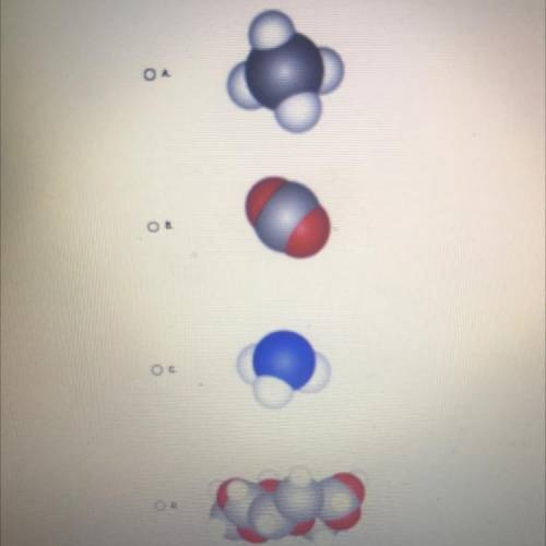 In models of molecules, spheres of different colors and

sizes represent different types of atoms.