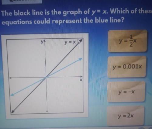 The black line is the the graph of y=x. Which of these equations could represent the blue line?