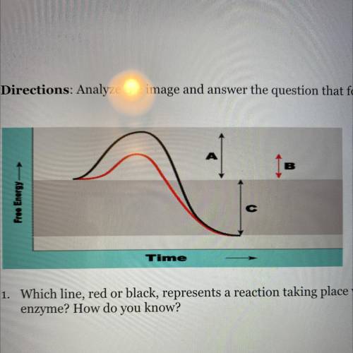 PLzzz helpp Directions: Analyze the image and answer the question that follows.

1. Which line, re