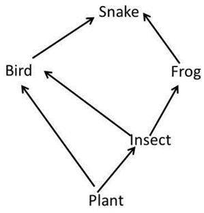 HELP WILL MARK BRAINLIEST.

Answer Q1-7 using the food web pictured below.
1. How many food chain
