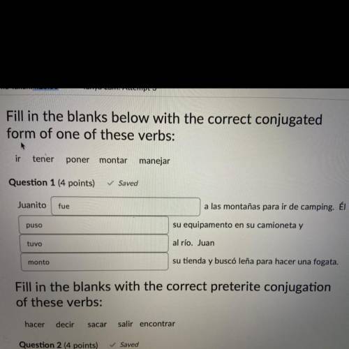 Fill in the blanks below with the correct conjugated form of one of these verbs:

I tried to conju