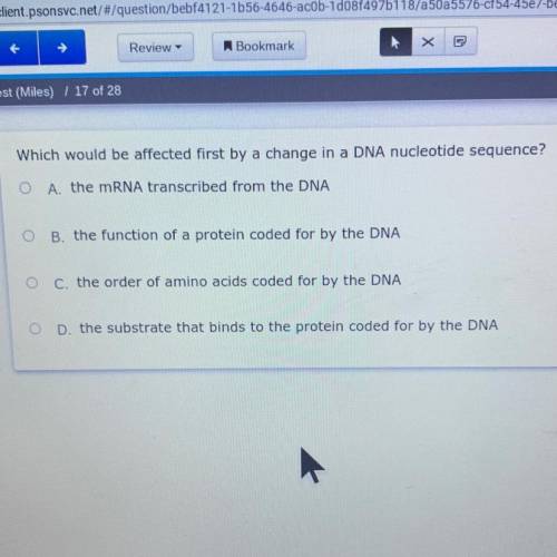 Which would be affected first by a change in a DNA nucleotide sequence?