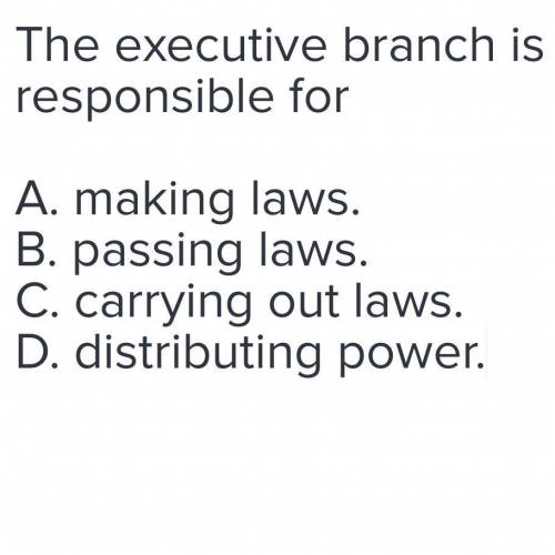 The executive branch is responsible for ??