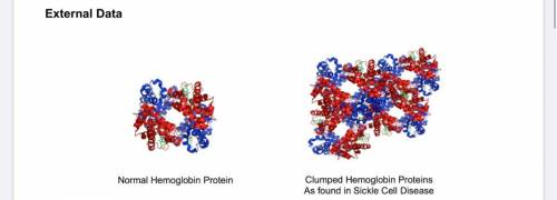 Scenario

Hemoglobin is a protein that helps transport oxygen in specialized red blood cells. Oxyg
