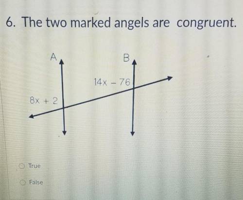 The two Marked angles are congruent yes or no will mark brainest