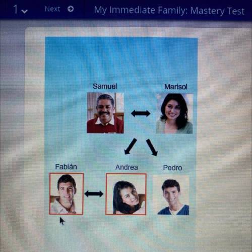 Look at the family tree. Choose the correct relationship between Fabián and Andrea.

O A.abuelos
B