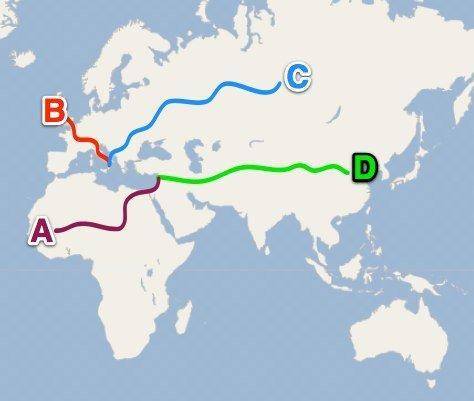 Which of these correctly marks the path of the Silk Roads?
A) A 
B) B 
C) C 
D) D
