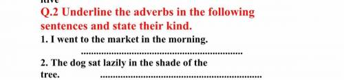 What are the adverbs and their kinds in the following