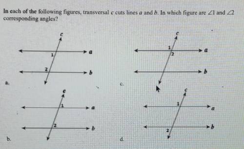 Please help! what is the answer to this question?