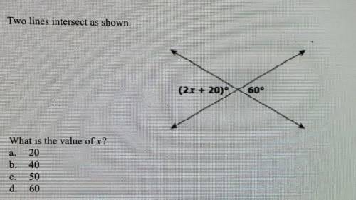 Please help! what is the answer to this question?