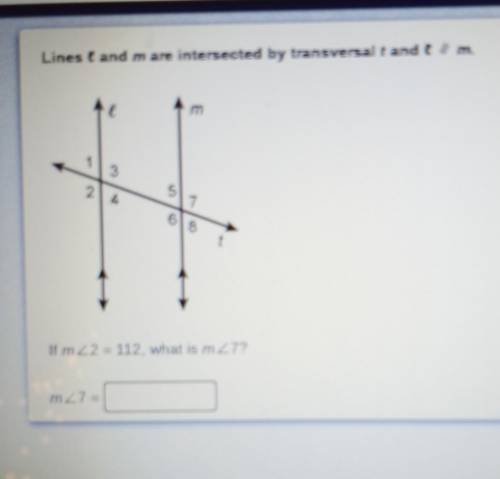 Lines l and m are intersected by transversal t and l // m. If m
