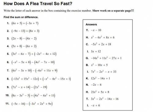 How does a flea travel so fast math worksheet PLEASE HURRY!
show all work in written form please
