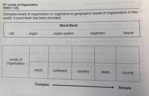You have to connect the word Bank to the world country and the rest.