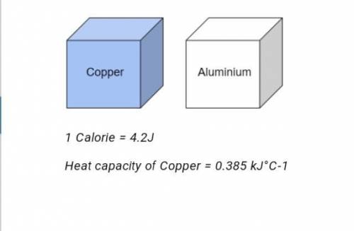 Two different blocks of metal are shown in the figure above. The copper block was heated from the t
