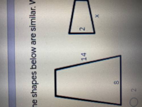 The shapes below are similar. What does x have to be?