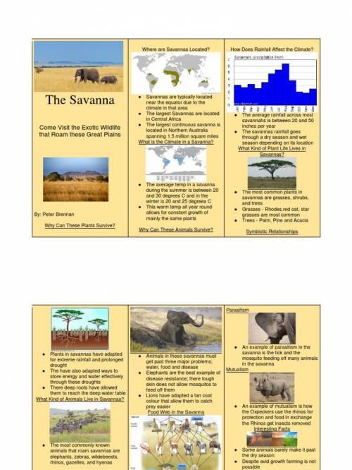 CAN SOMEONE DO MY PROJECT PLEASE!!!

Directions: Please attach and upload your Biome Brochure for
