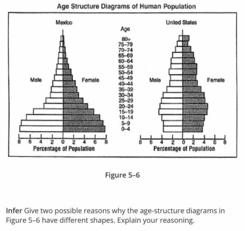 Give two possible reasons why the age-structure diagrams in Figure 5–6 have different shapes. Expla