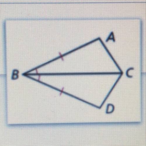 Why are these triangles congruent?
