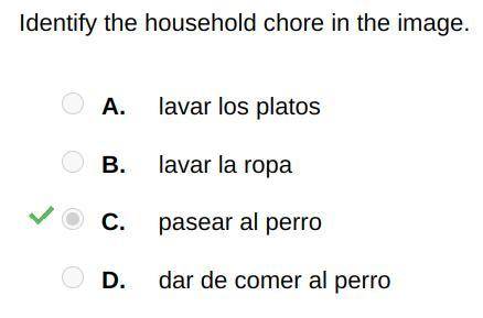 Identify the household chore in the image.

A. lavar los platos
B. lavar la ropa
C. pasear al perr