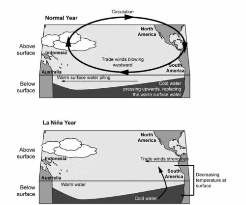 Directions: The diagram below shows how La Niña occurs when Pacific trade winds that are blowing ea