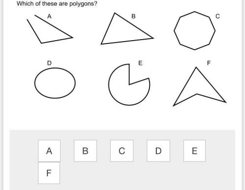 Which are these are polygons
