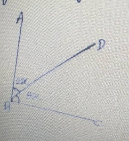What is the value of x in the figure Pls help