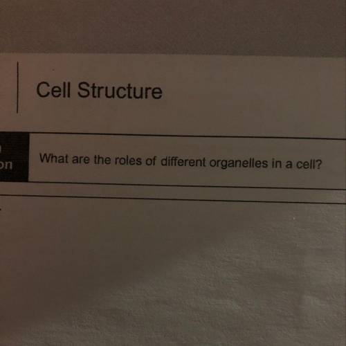 What are the roles of different organelles in a cell?