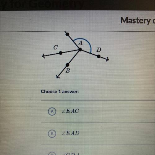 What is a name for the marked angle?
Choose 1  
I need this asap please!!!