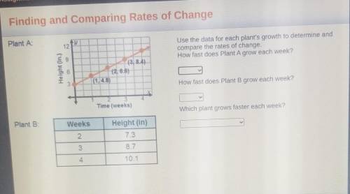 Plant A 12 Use the data for each plant's growth to determine and compare the rates of change. How f