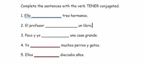 Complete the sentences with the verb TENER conjugated.