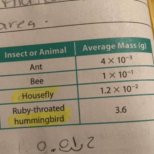 The average masses of several insects or animals

are shown in the table. The average mass of a
hu