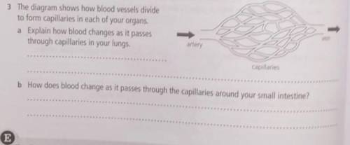 Please help me in biology asap, 20 points for answering thanksss