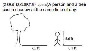 This is a two part question. Please refer to the image but I need a proportion to determine the hei