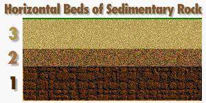Which of the following conclusions can be made about the sedimentary layers?

(A) bed 2 was deposi