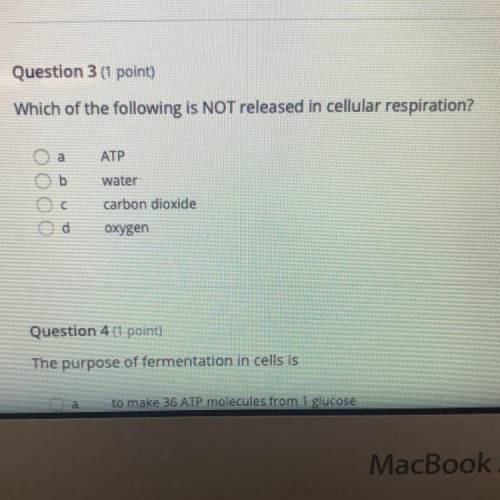 Which of the following is NOT released in cellular respiration?

a
ATP
b
water
ОООО
C
carbon dioxi