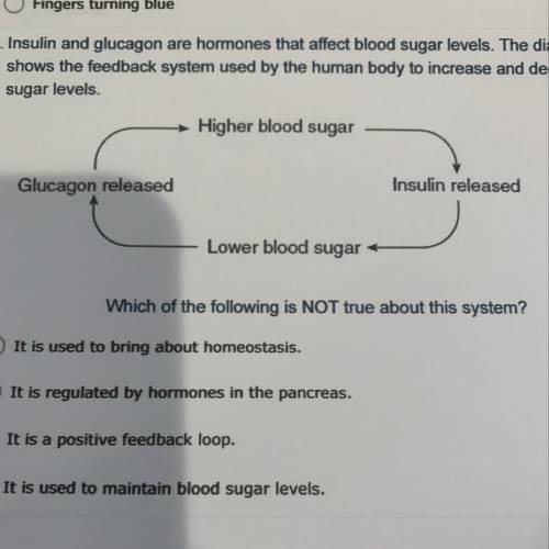 3. Insulin and glucagon are hormones that affect blood sugar levels. The diagram below

shows the