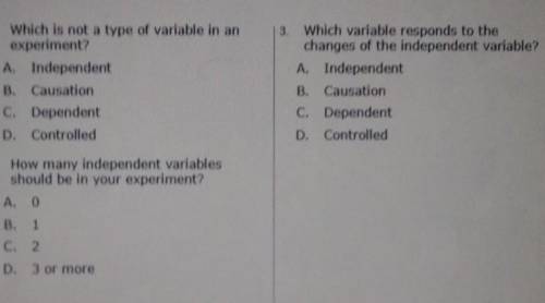 PLEASE HELP with this question