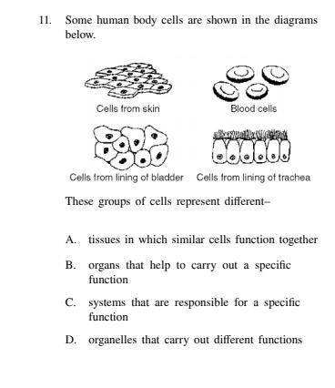 A. tissues in which similar cells function together.

B. organs to help carry out a specific funct
