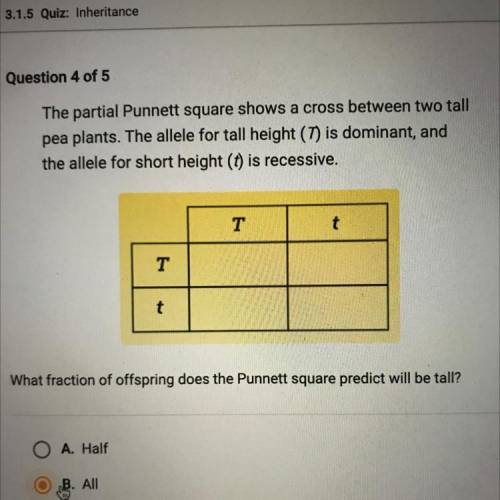 The partial punnet square shows a cross between two tall pea plants. the allele for tall height (T)