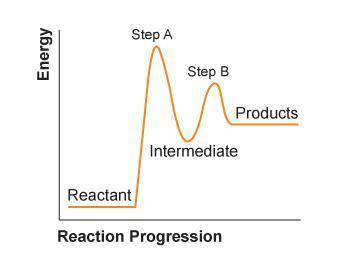 Consider the reaction pathway graph below.

Which statement best describes this graph?
This is an