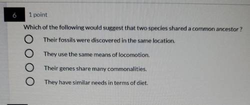6. Which of the following would suggest that two species shared a common ancestor?