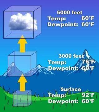 According to the diagram the temperature where clouds form is?