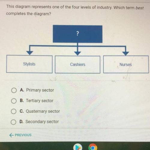 A. Primary sector
B. Tertiary sectors. 
C Quaternary sector
D. Secondary sector